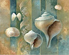 Seashell Wall Art