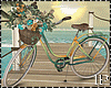 Beach Summer Bicycle
