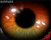 S; Vision Eye Orange