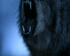 Animated Wolf sticker