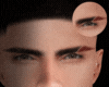 Ϩ| Toga Red Brows