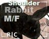 R|C Real Rabbit Black MF
