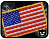 [PP] Carpet USA Flag
