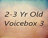 2-3yr Old VoiceBox 3