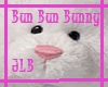 Bun Bun Bunny