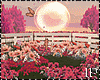 Shine Sunshine Spring PR