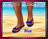 {CV} Blue Flip Flops