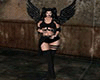 black angel tail  - F/M