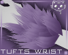 TuftsW Purple 3a Ⓚ