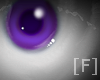 [F] Purple