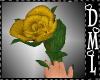 [DML] Yellow Rose