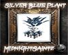 |MS|SilverBluePlant