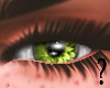 SF- Green Eye F