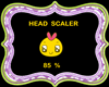 !    HEAD  SCALER