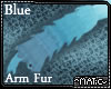 Blue ~ Arm Fur
