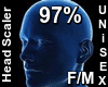 F/M Head Scaler 97%