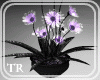 {TR} Gothic Flowers