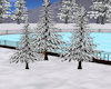 CRF* 3 Winter Trees