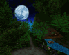 Moon Light Romance