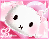 ✿Rabbit Bag Pi.✿