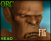 Wow Mag'har Head*