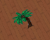 -T-  Palm Dance Marker