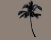 Palmtree silhouette
