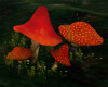 Pixie Mushrooms anim.