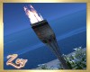 ZY: Animated Beach Torch