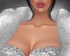 Shine silver bundle