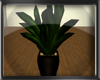 [SWAG]Pimps Plant