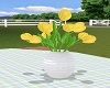Vase of  Yellow Tulips