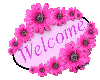 Welcome - pink flowers