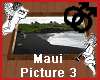 Maui Hawaii Picture 3