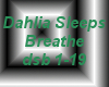 Dahlia Sleeps-Breathe