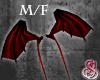 Dragon Wings Red M/F