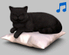 A:. Cat Pillow + Radio