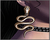 .L. Earrings cobra Doura