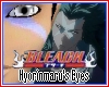 [SaSu] Eyes Hyorinmaru