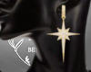 (BR) Earrings Star