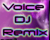 ~H~Voice DJ REMIX