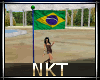 Brazilian flag animated