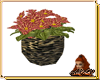 SeFari Flower Basket