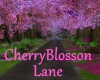 [BD]CherryBlossomLane