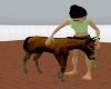 NS Racing Foal animated