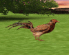 lively chicken