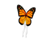 Animated Butterfly Wings