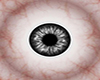 m28 Eyes Grey