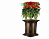 Red Roses