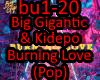 BigGigantic Burning Love